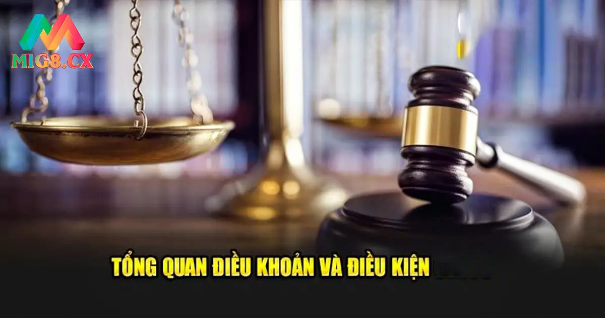 Điều khoản và điều kiện MIG8 về chương trình khuyến mãi